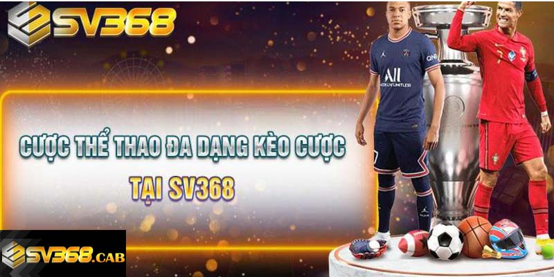 Đôi nét về sảnh thể thao Sv368